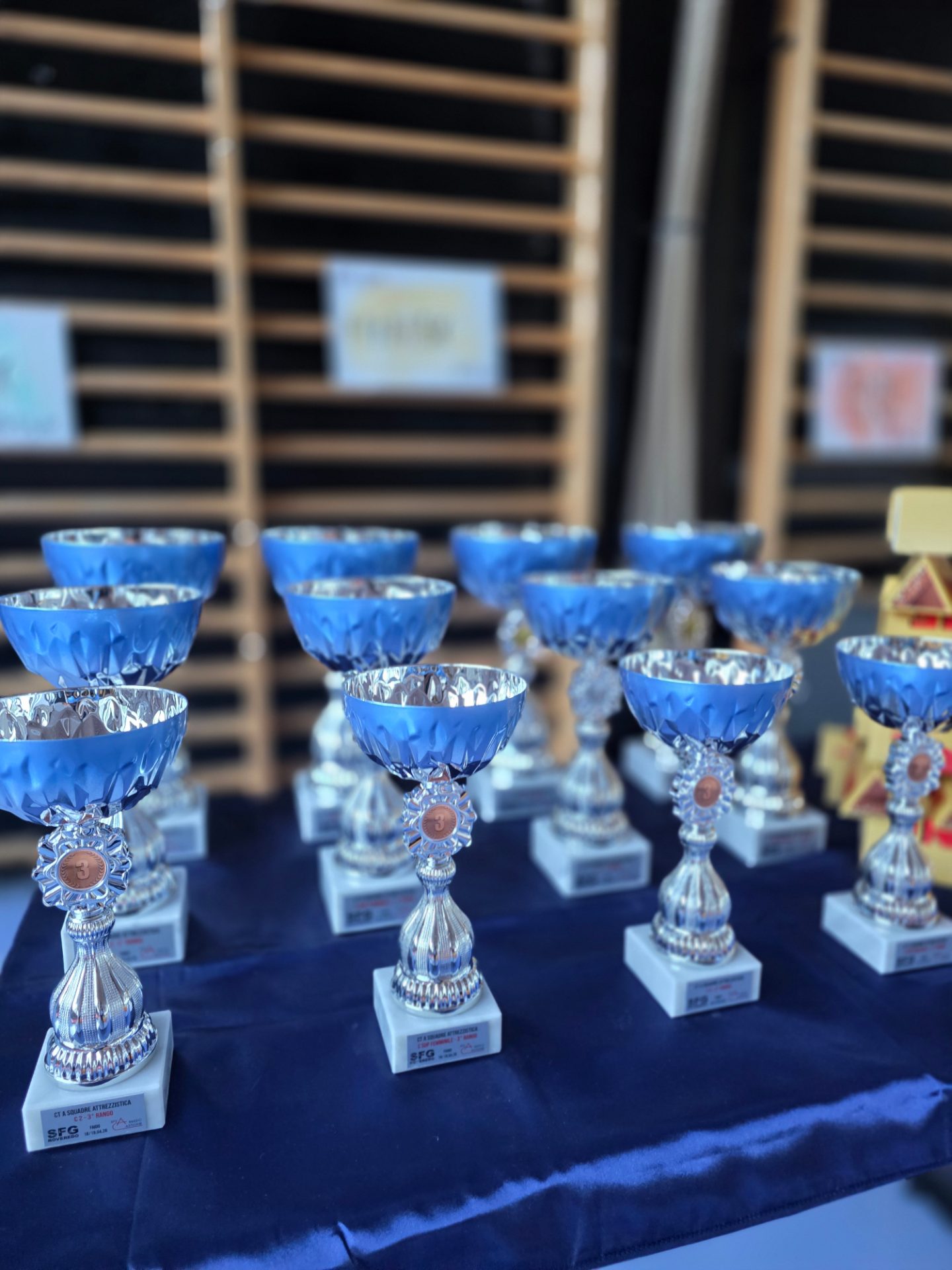 Campionati Ticinesi a squadre (attrezzistica) 18-19 aprile 2026 - Faido
